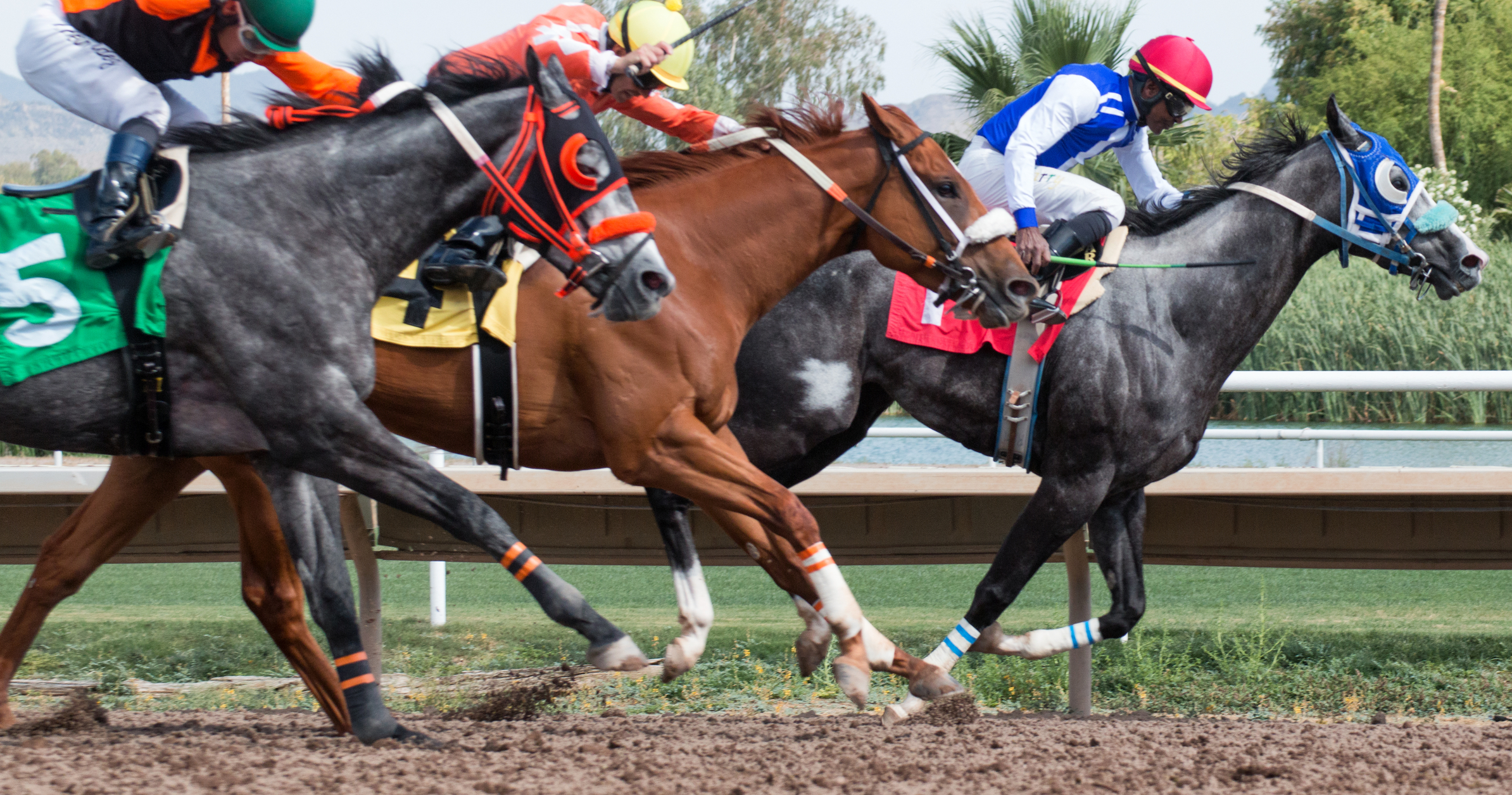 Delaware Handicap