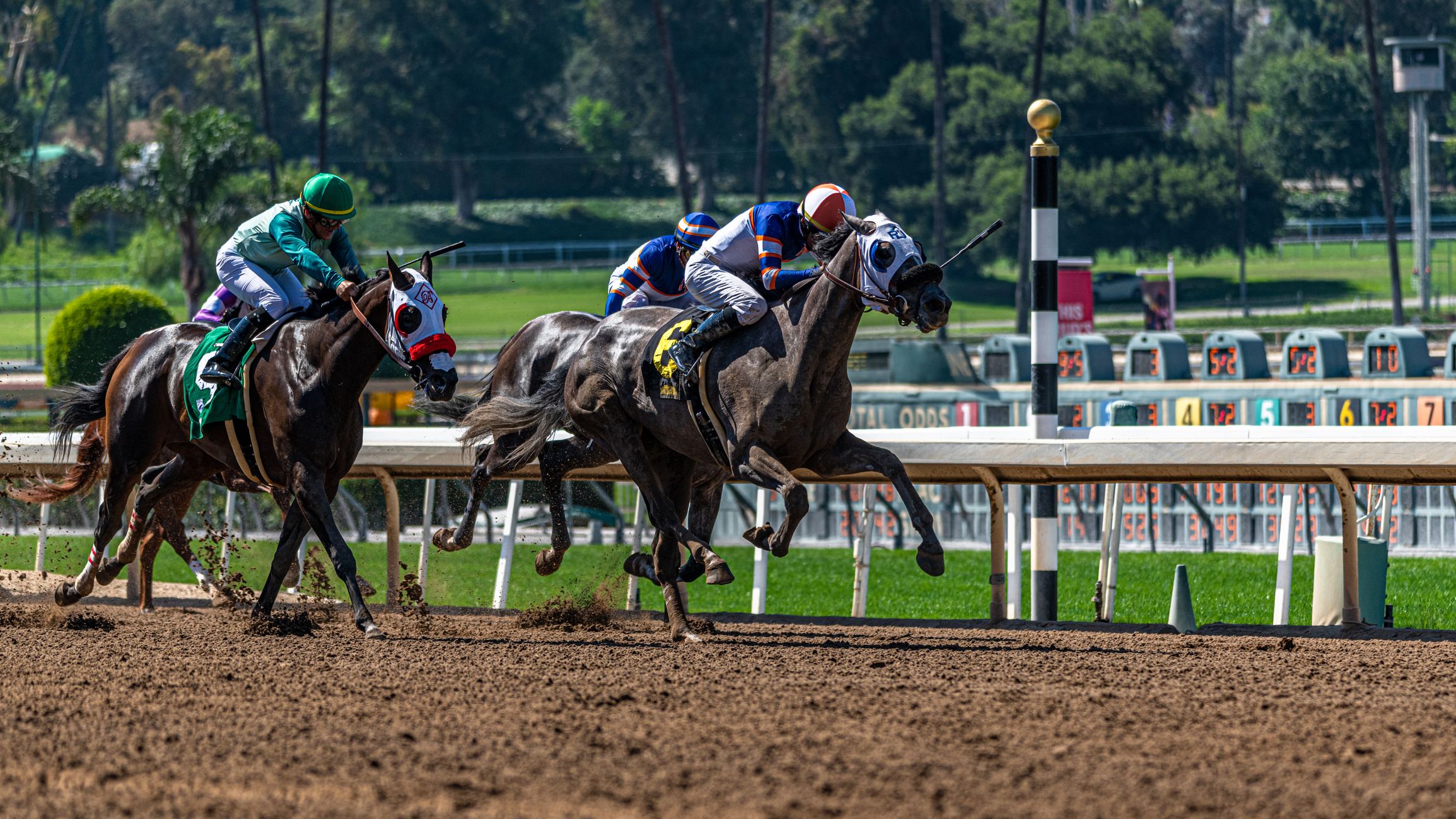 Santa Anita Autumn Meet