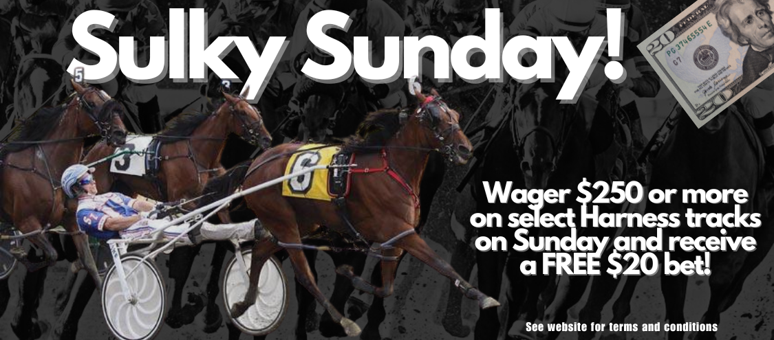 Sulky Sunday 250