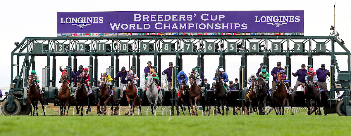 Breeders' Cup Pre Entries