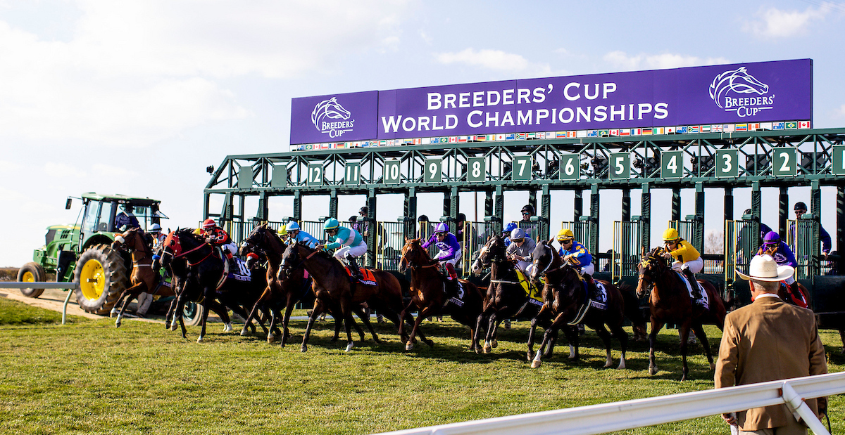 Breeders' Cup race Order