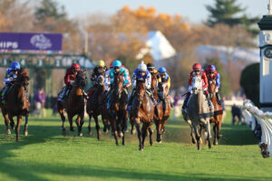 Breeders' Cup Selections