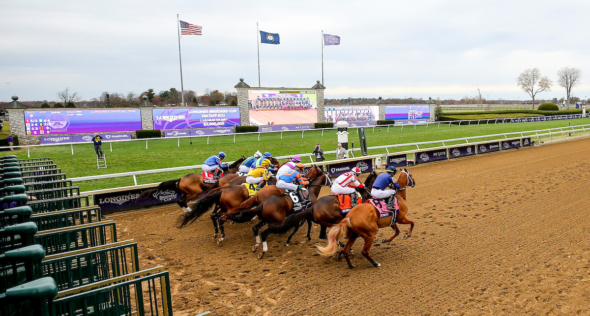Championship Saturday at the Breeders' Cup