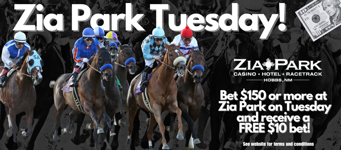 Zia Tuesday