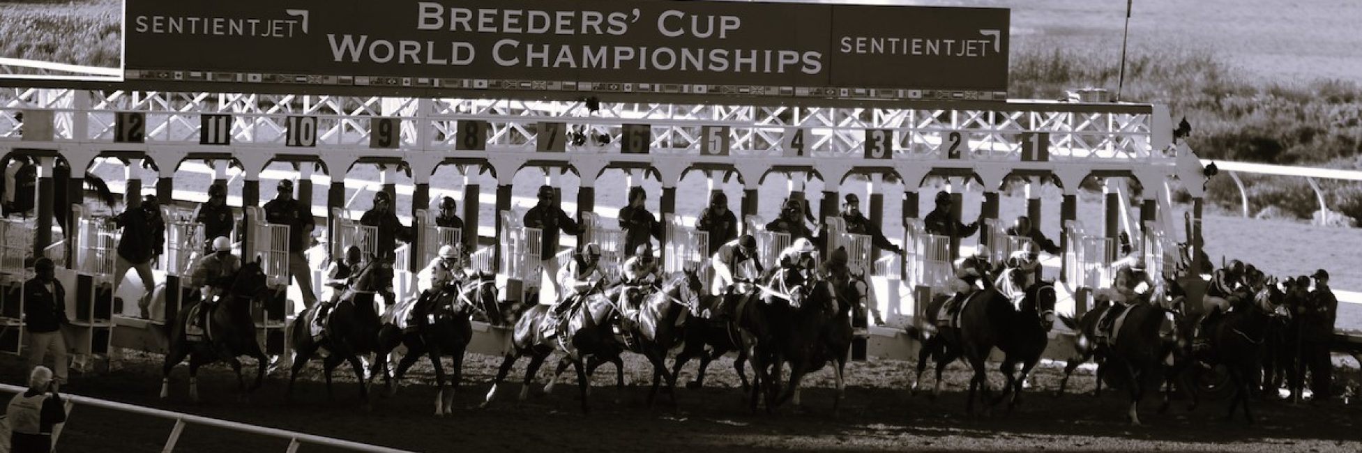 Breeders' Cup